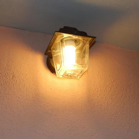 Magnolia カーラ・リベロット